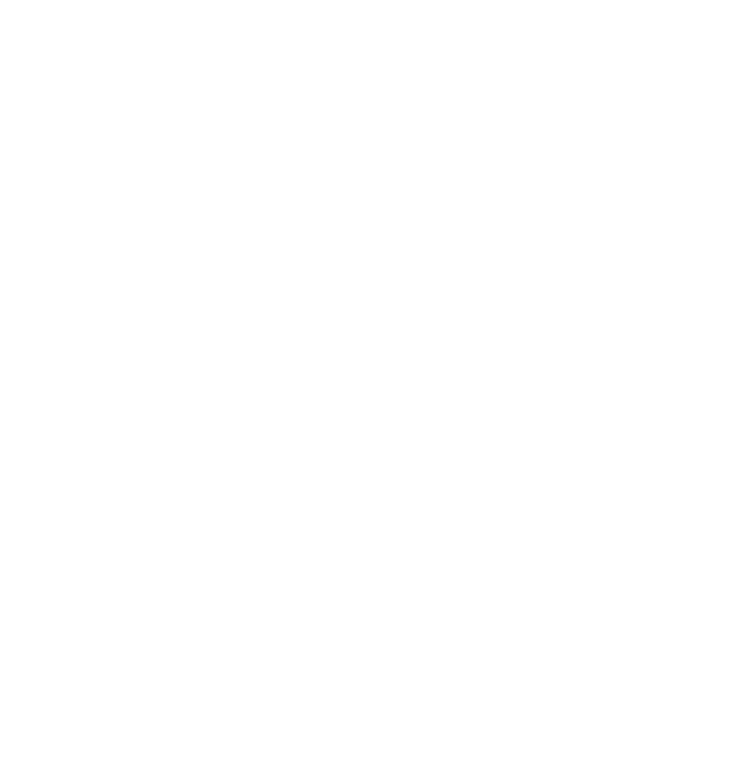 Teamleader